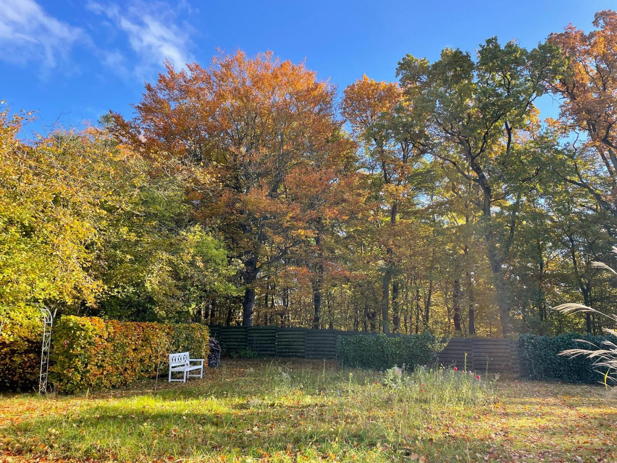 סלאנגרופ Cozy Private Annex Near Bathing Lake And 30 Min. From Copenhagen מראה חיצוני תמונה